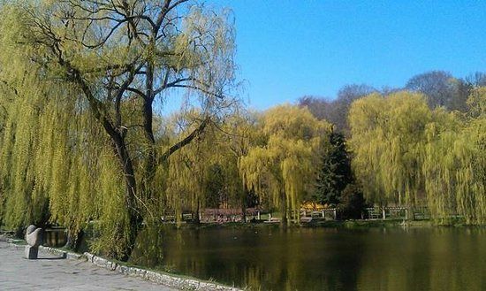 Piesze wycieczki po Gdańsku